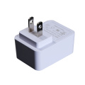 5V2A USB wall adapter for Cosmetic beauty instrument